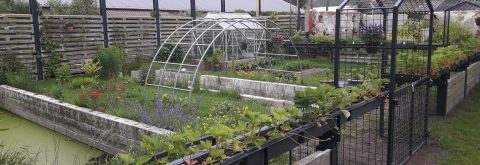 Unieke stalen hekwerken, op maat gemaakt !