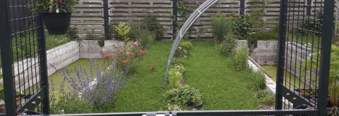 Stalen hekwerk met daartussen herbruikte betonnen roosters van een strontput uit een stal. Kortom zeer degelijk !